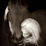 Horse kindness
